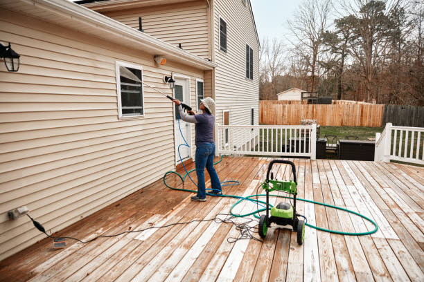 Best Deck Cleaning Services  in Stony Point, MI