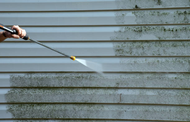 Best Local Pressure Washing Services  in Stony Point, MI