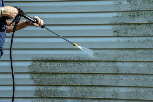 Best Affordable Power Washing  in Stony Point, MI