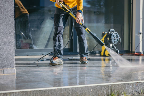 Best Residential Pressure Washing Services  in Stony Point, MI
