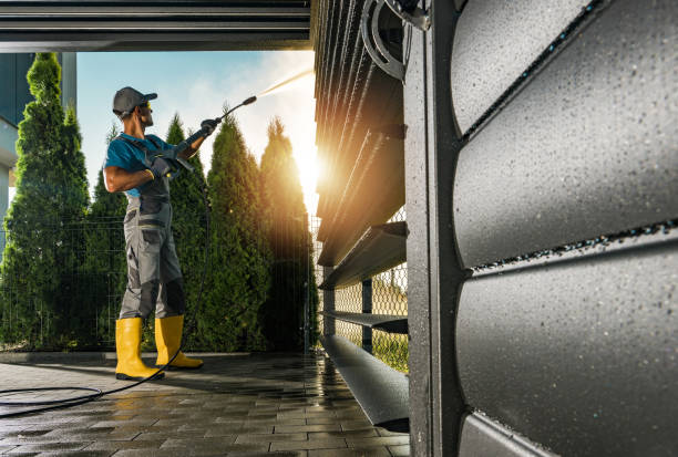 Best Roof Pressure Washing  in Stony Point, MI