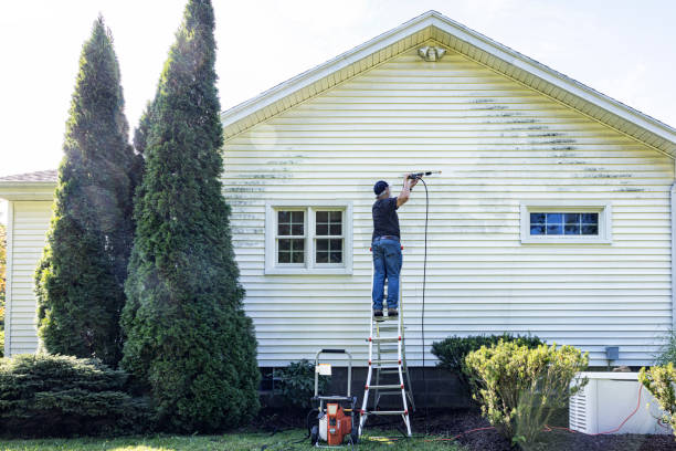 Best Deck Cleaning Services  in Stony Point, MI