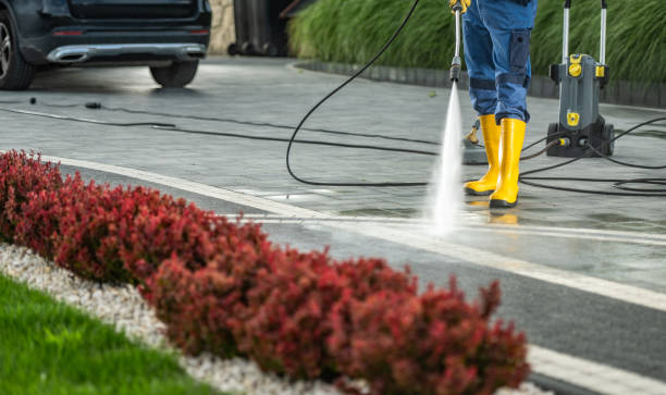 Pressure Washing Contractors in Stony Point, MI