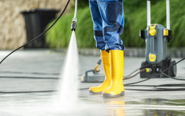 Best Roof Pressure Washing  in Stony Point, MI