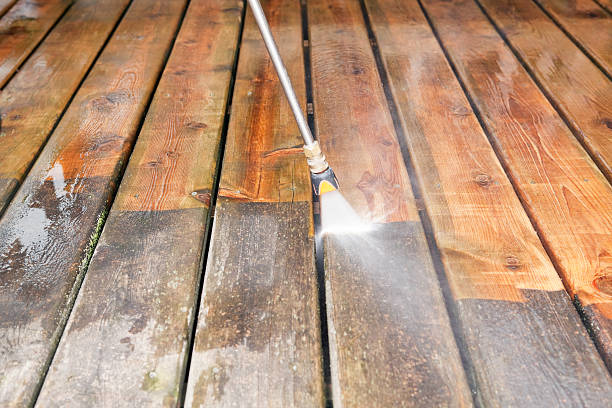 Best Power Washing Near Me  in Stony Point, MI