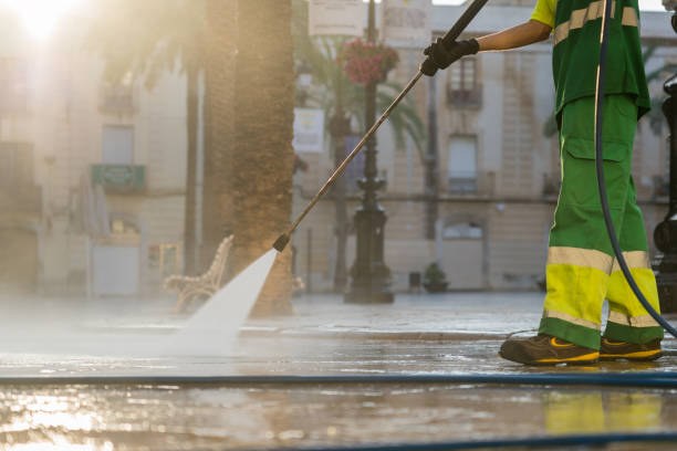Best Exterior Home Cleaning  in Stony Point, MI