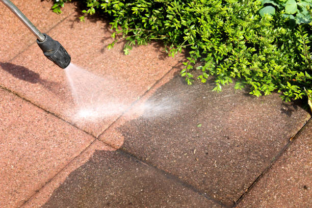 Best Concrete Pressure Washing  in Stony Point, MI